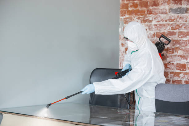 Forensic Mold Investigation in Renton, WA